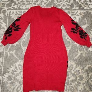 Red Sweater dress